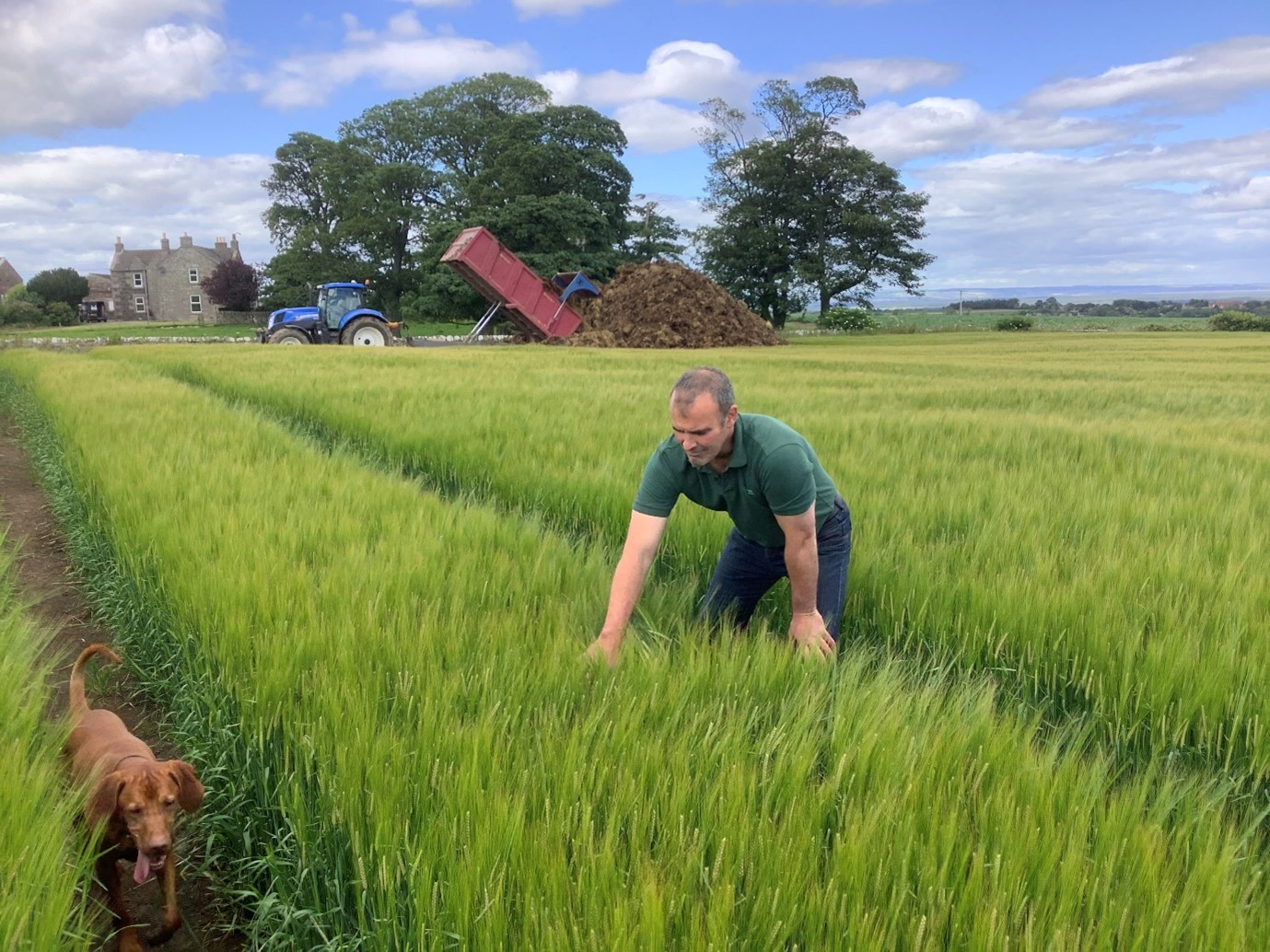 david bell in field with crop